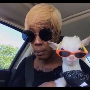 Meet your Posher, Matt